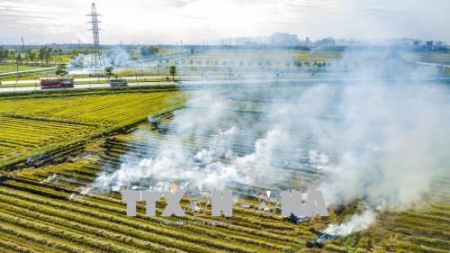 Phơi, đốt rơm rạ trên quốc lộ: Hiểm họa khôn lường ảnh 2
